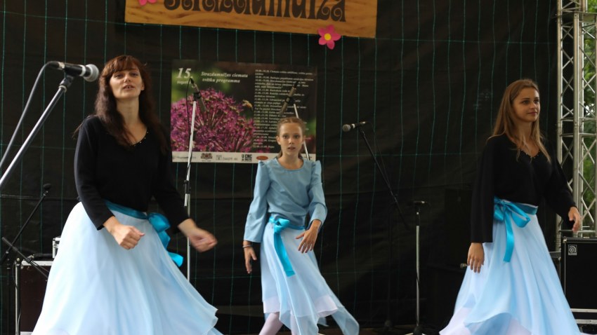 Strazdumuižas ciemata svētki 2014