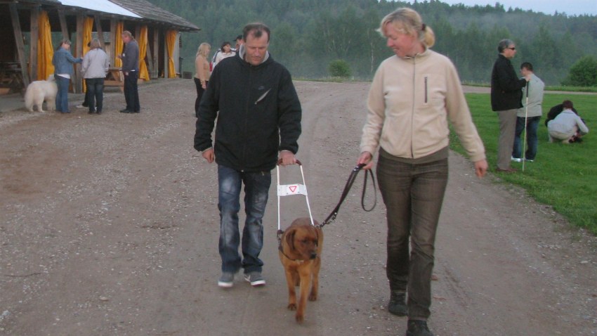 Nometne "Tilts uz veiksmi"2013