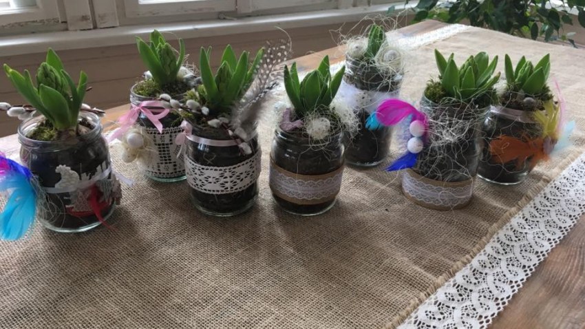 Projekta Zaļākai Rīgai floristikas nodarbība
