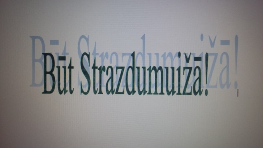 Apstiprināts Strazdumuižas TO projekts "Būt Strazdumuižā!"