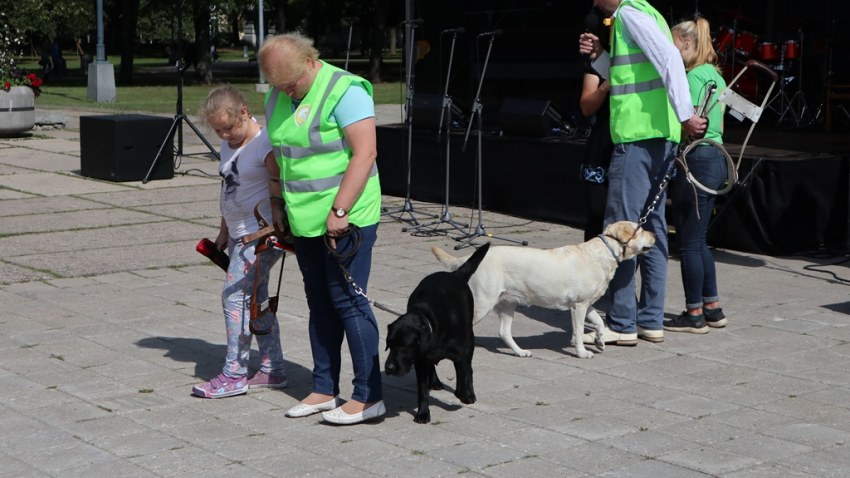 Video no iespēju dienas "Saredzi iespējas", Esplanādē 